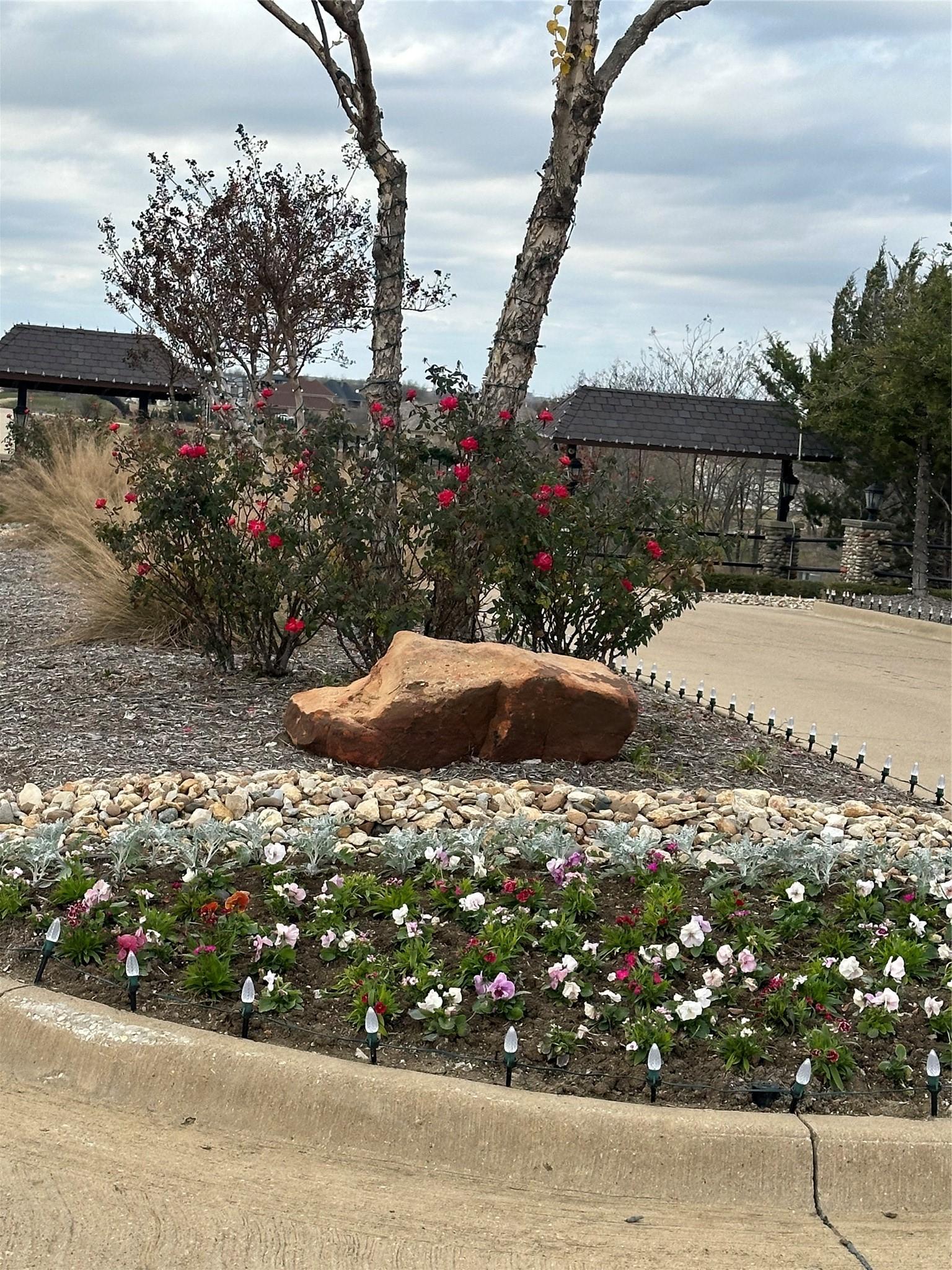 Image 2 Image 2