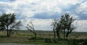 310 St Andrews Drive Lot 310