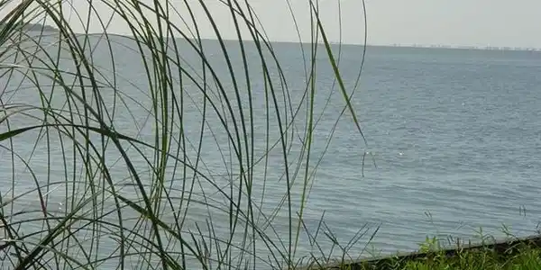 17 Bayview Circle Lot 17+
