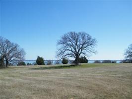 lot 59 Vine Lot 59