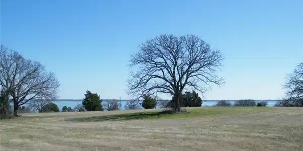 lot 59 Vine Lot 59