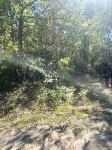 Lot 252 Cayuga Drive