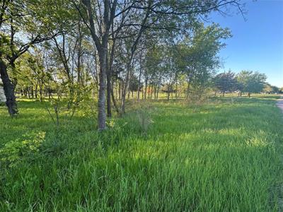 TBD Trail