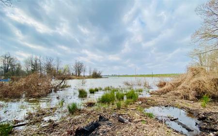 146 County Road 1555