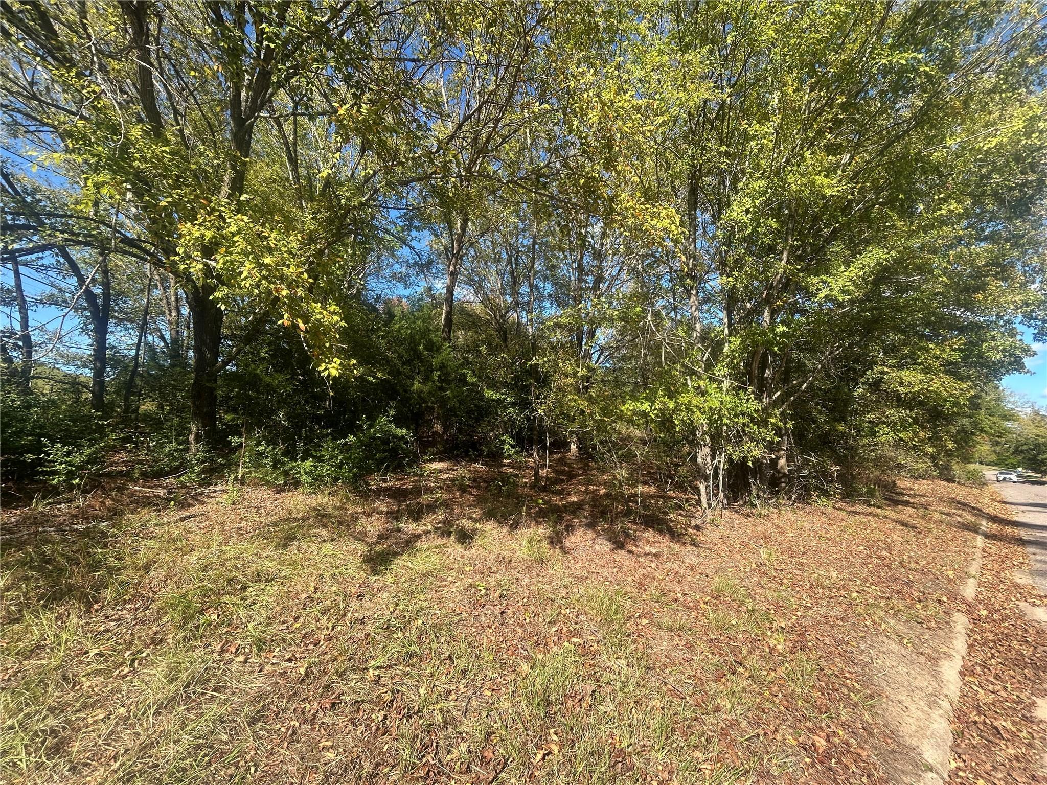 Image 4 Image 4