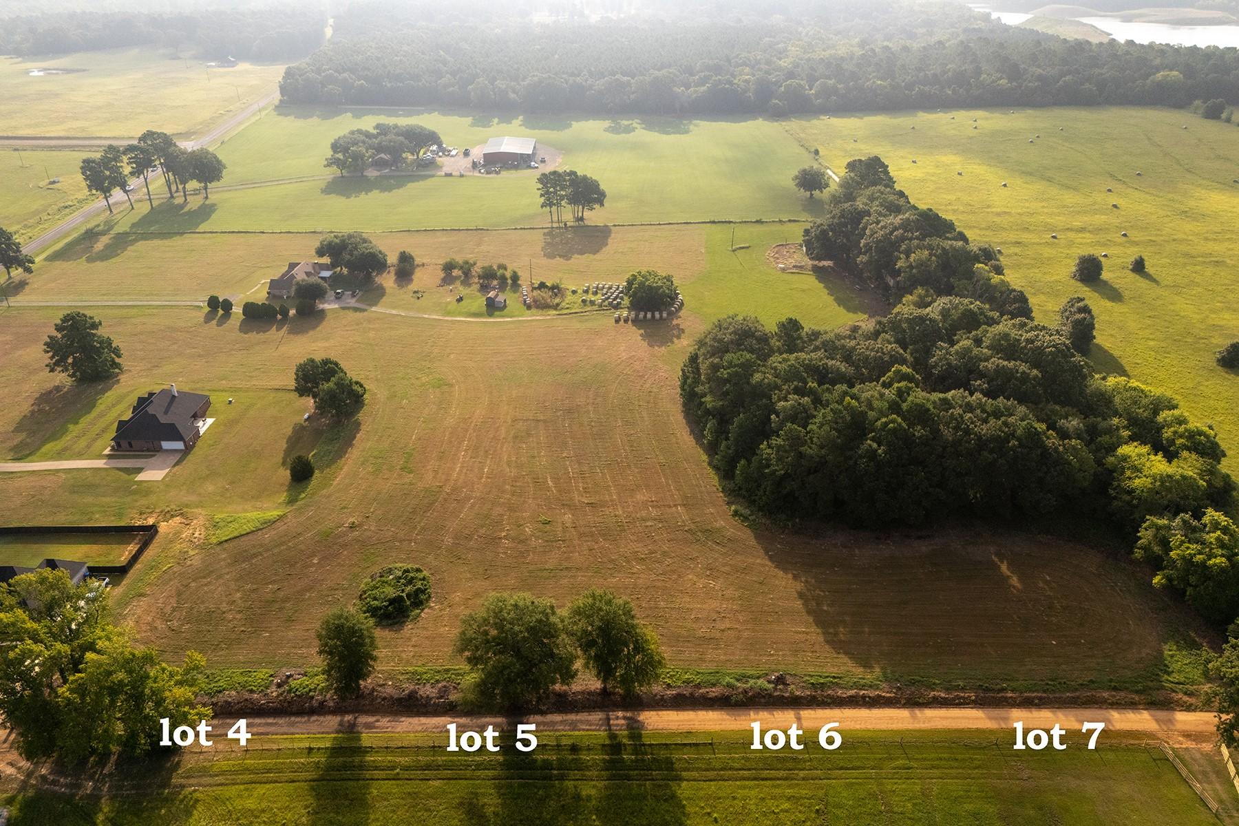Image 4 Image 4