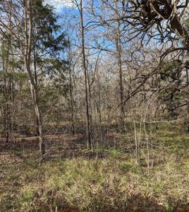 Lot 56 Quail Run Road