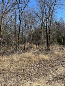 0000 County Road 3605