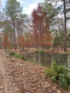 0000 County Road 3450