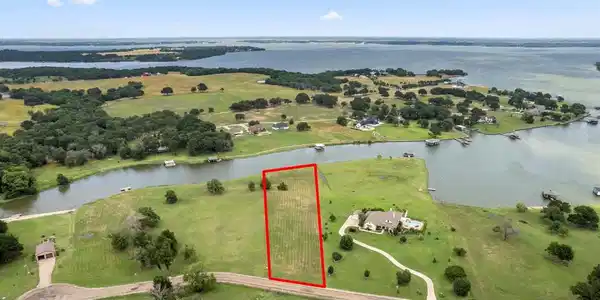 Lot 151 Crepe Myrtle