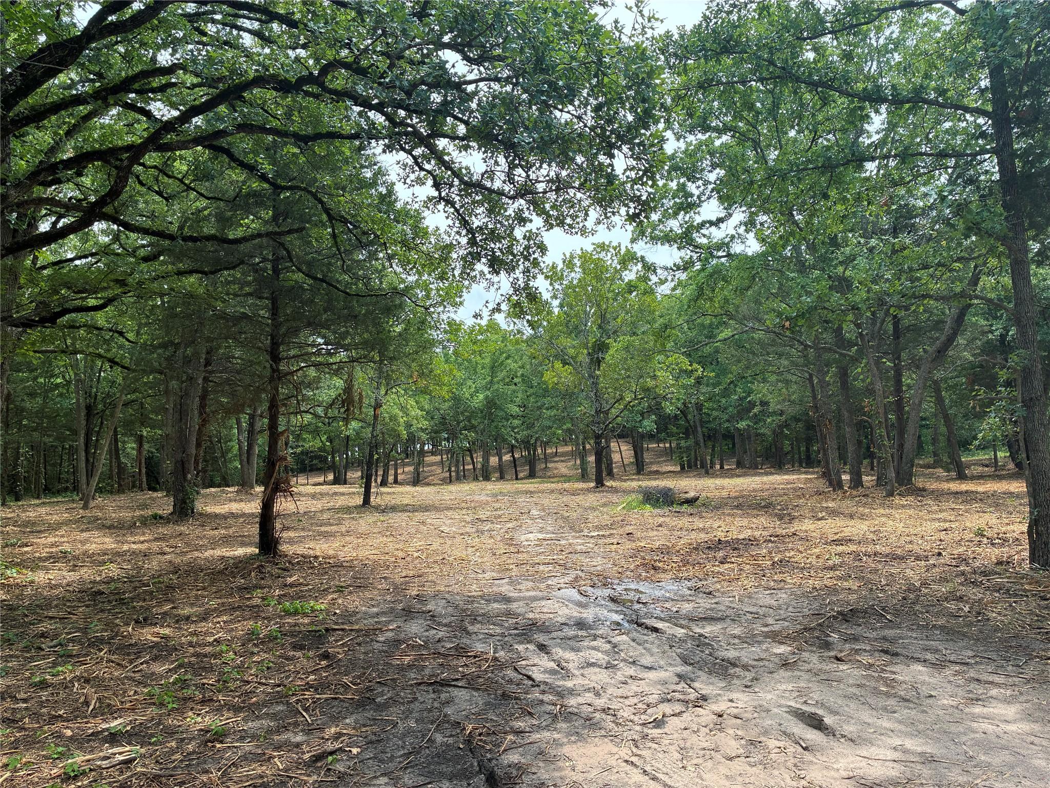 Image 2 Image 2