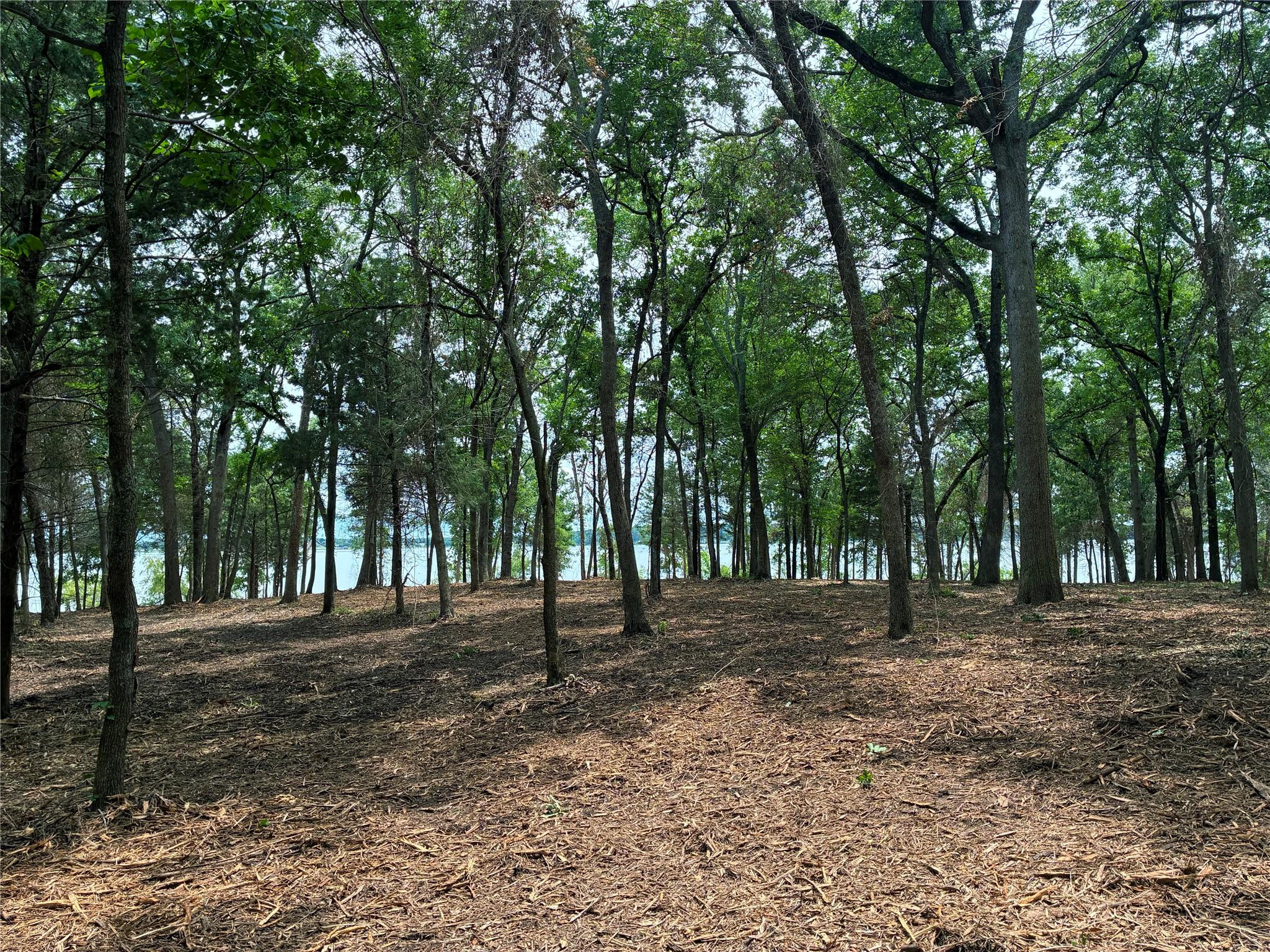 Image 4 Image 4