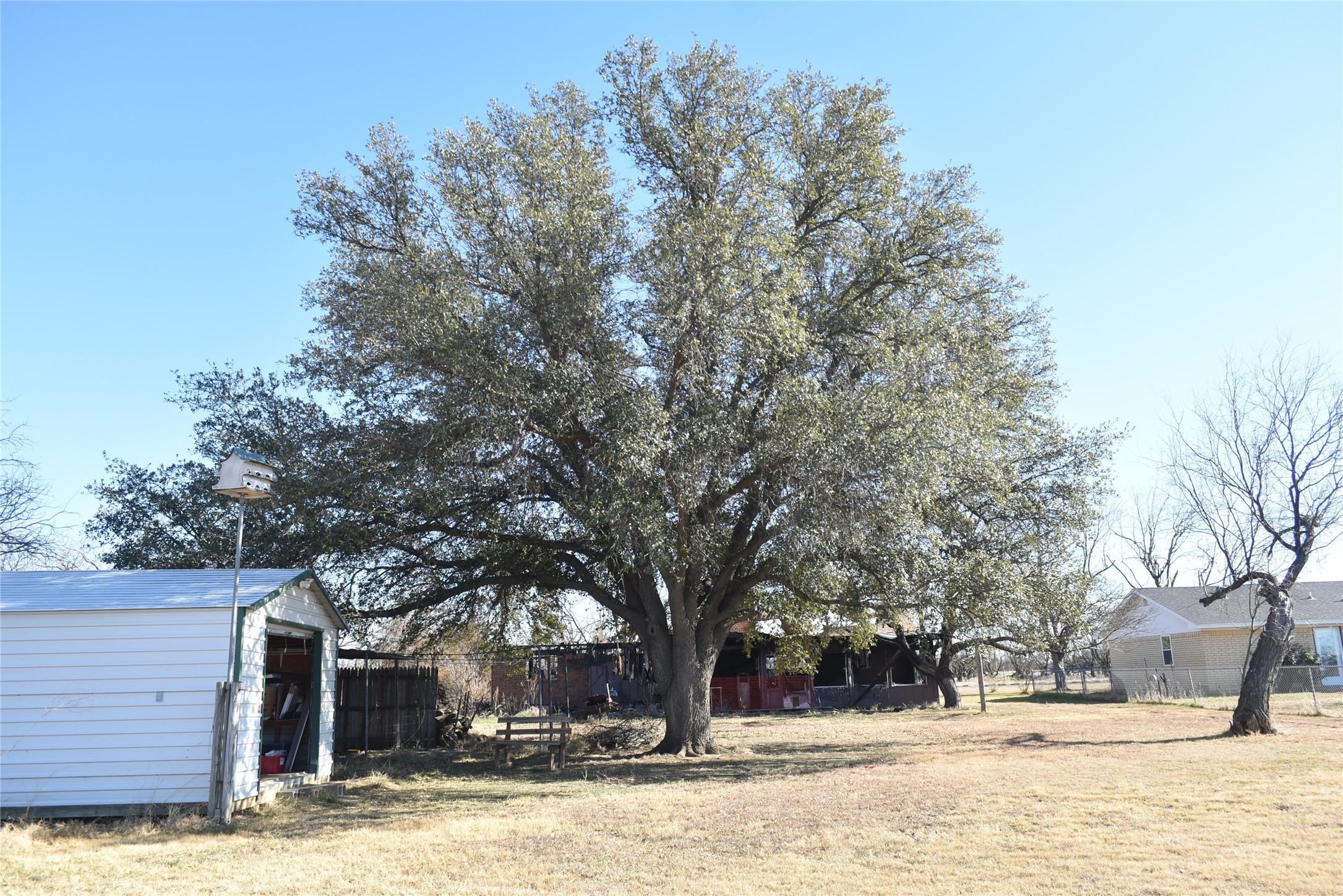 Image 1 Image 1