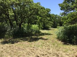 155 Cortez Drive Lot 1318