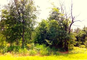 62 Roaring Fork Circle