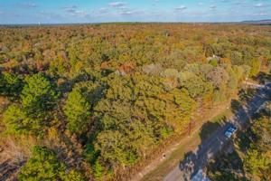 8856 Timber Ridge
