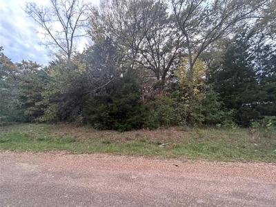 Lot 153 Ute Trail