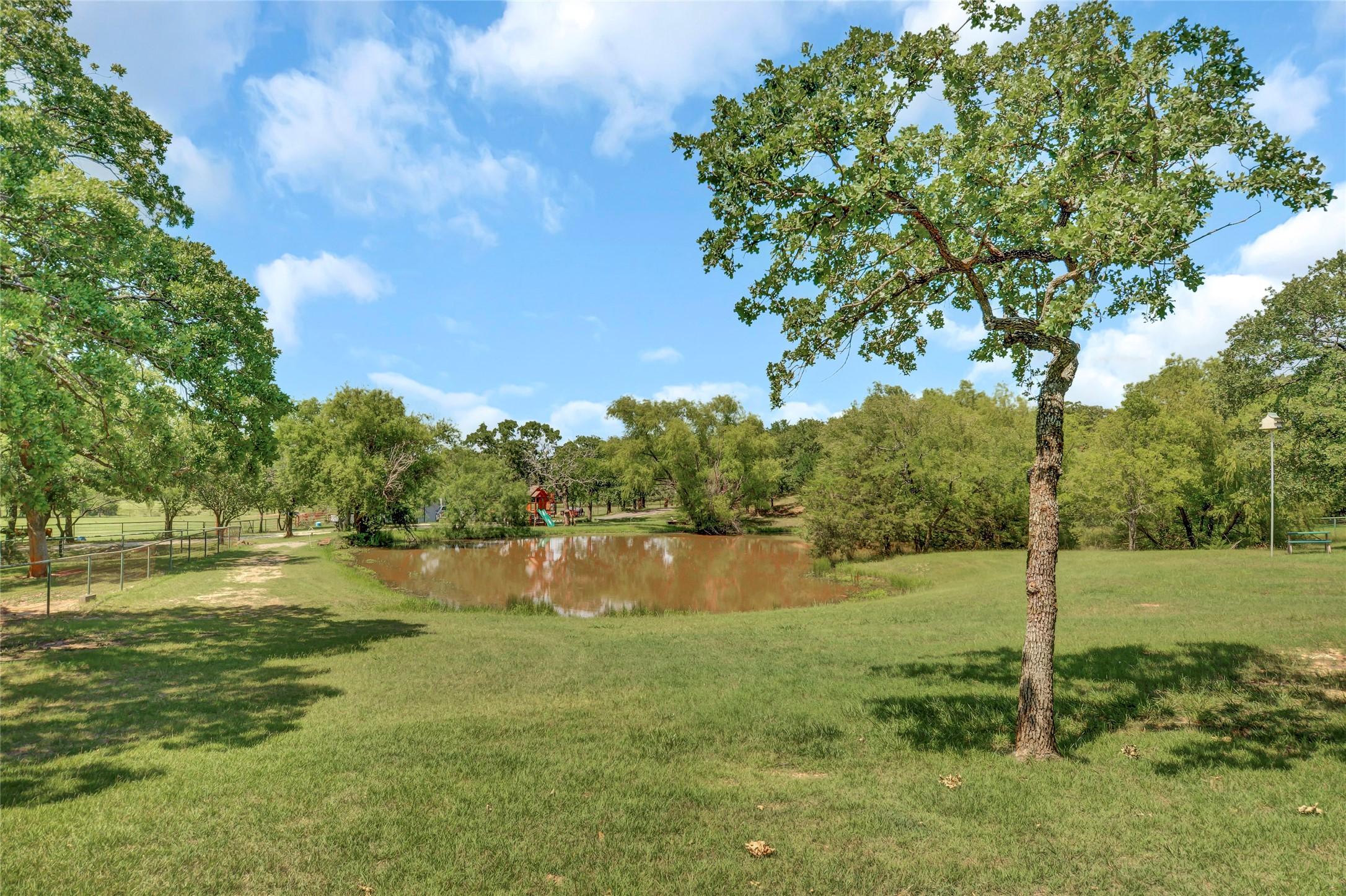 Image 4 Image 4