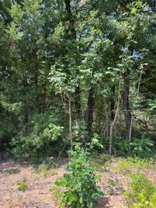 106 Red Bluff Loop