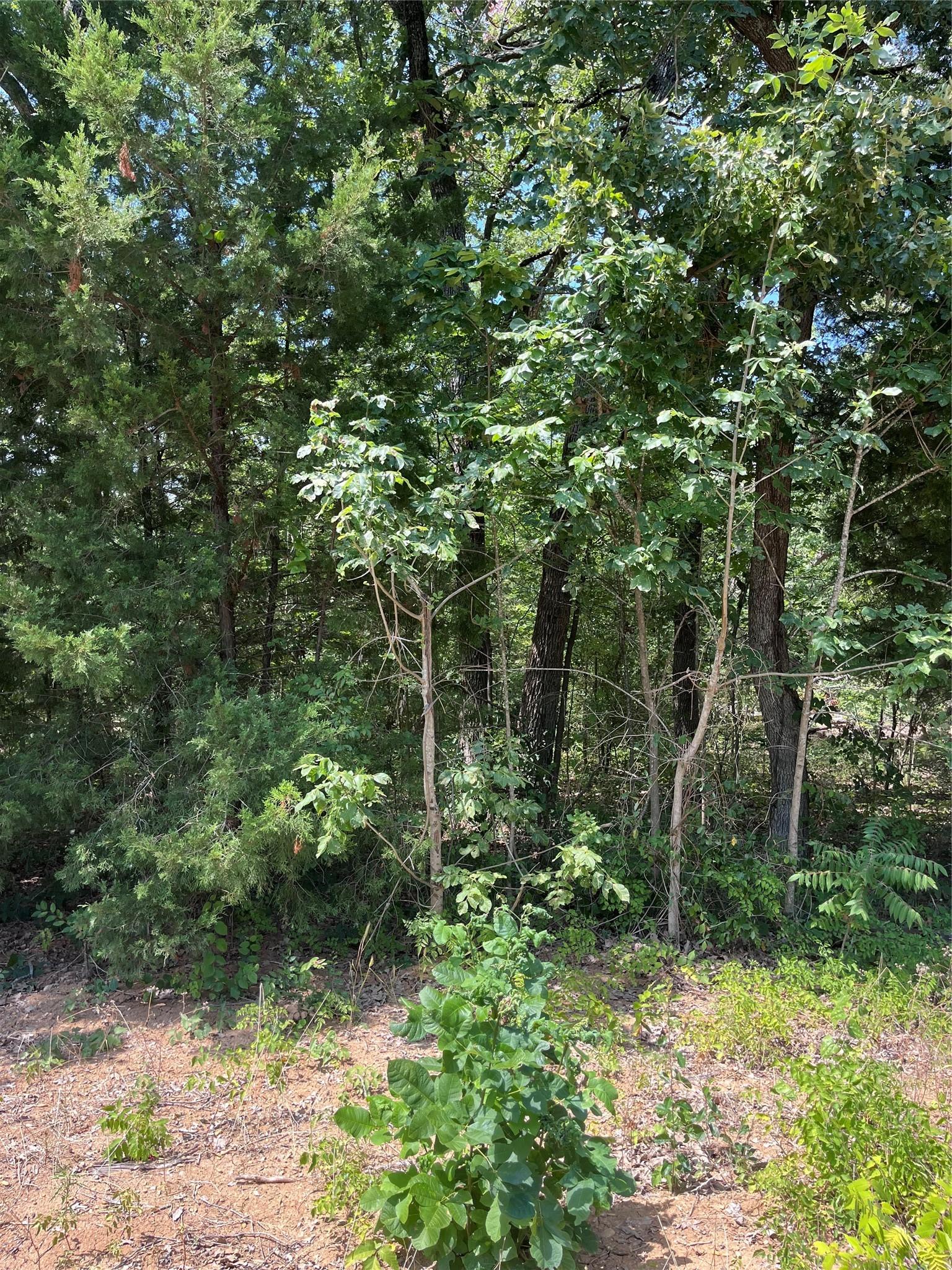 Image 1 Image 1