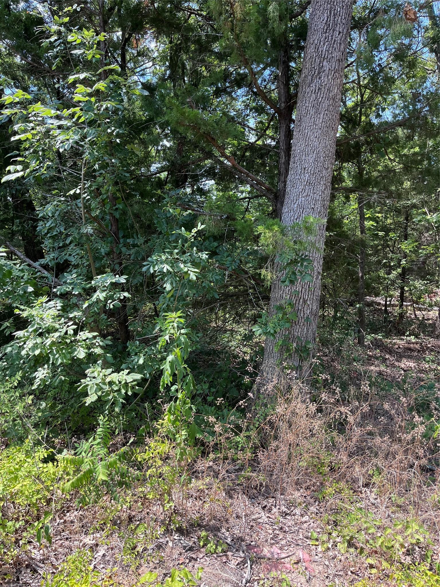 Image 2 Image 2