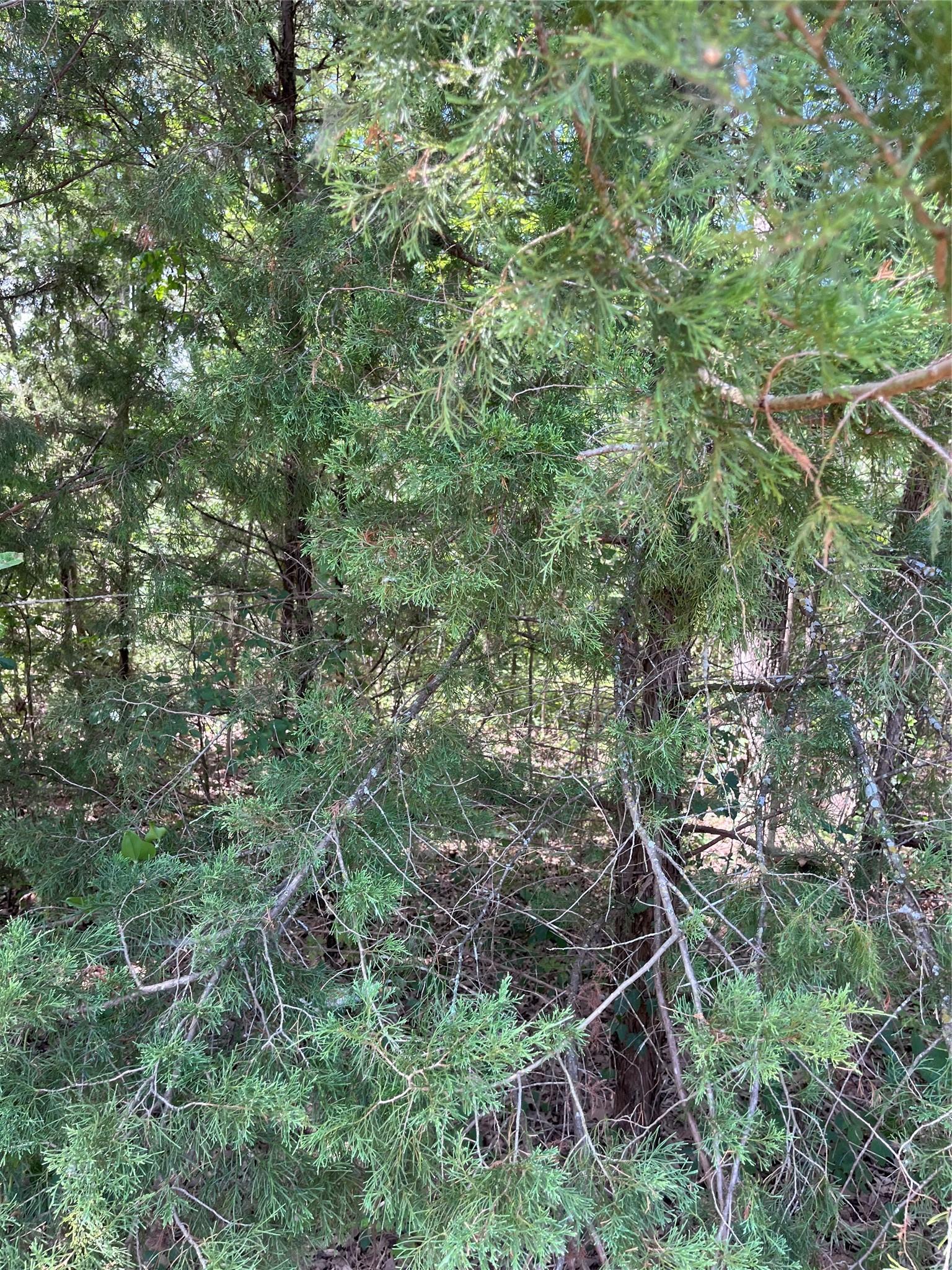 Image 4 Image 4