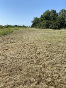 Tawakoni Drive