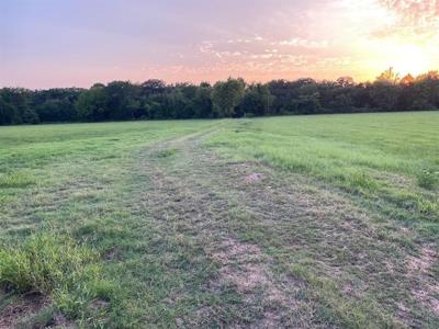 Lot 4 County Road 1813 TBD