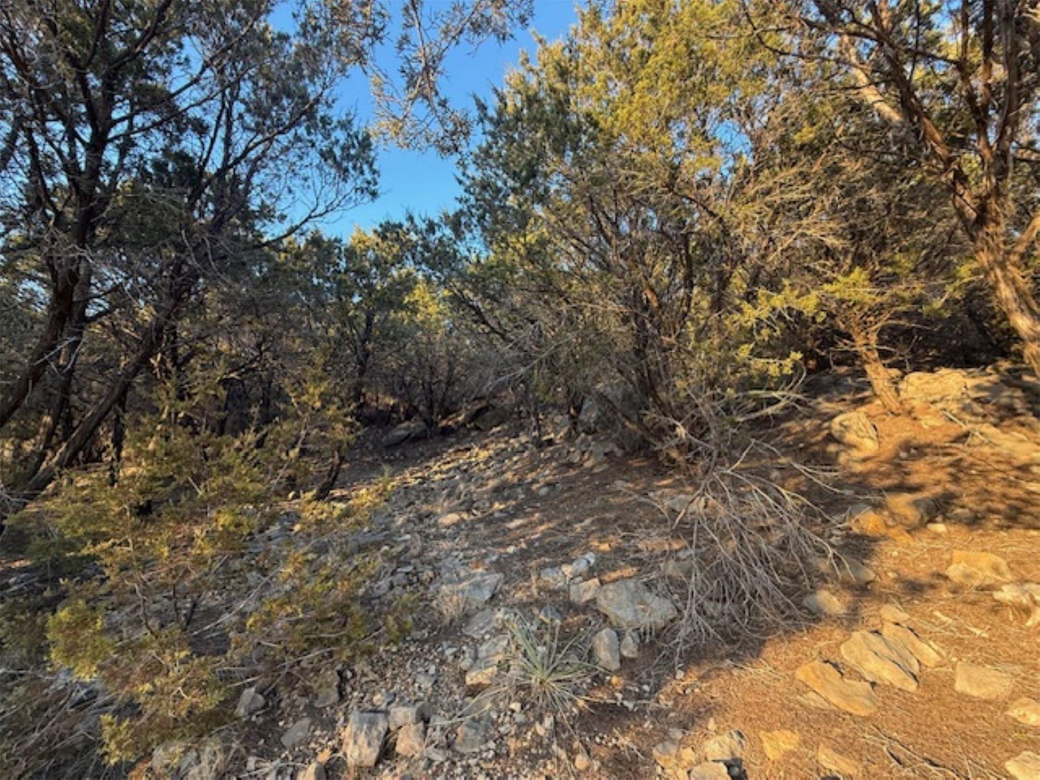 Image 3 Image 3