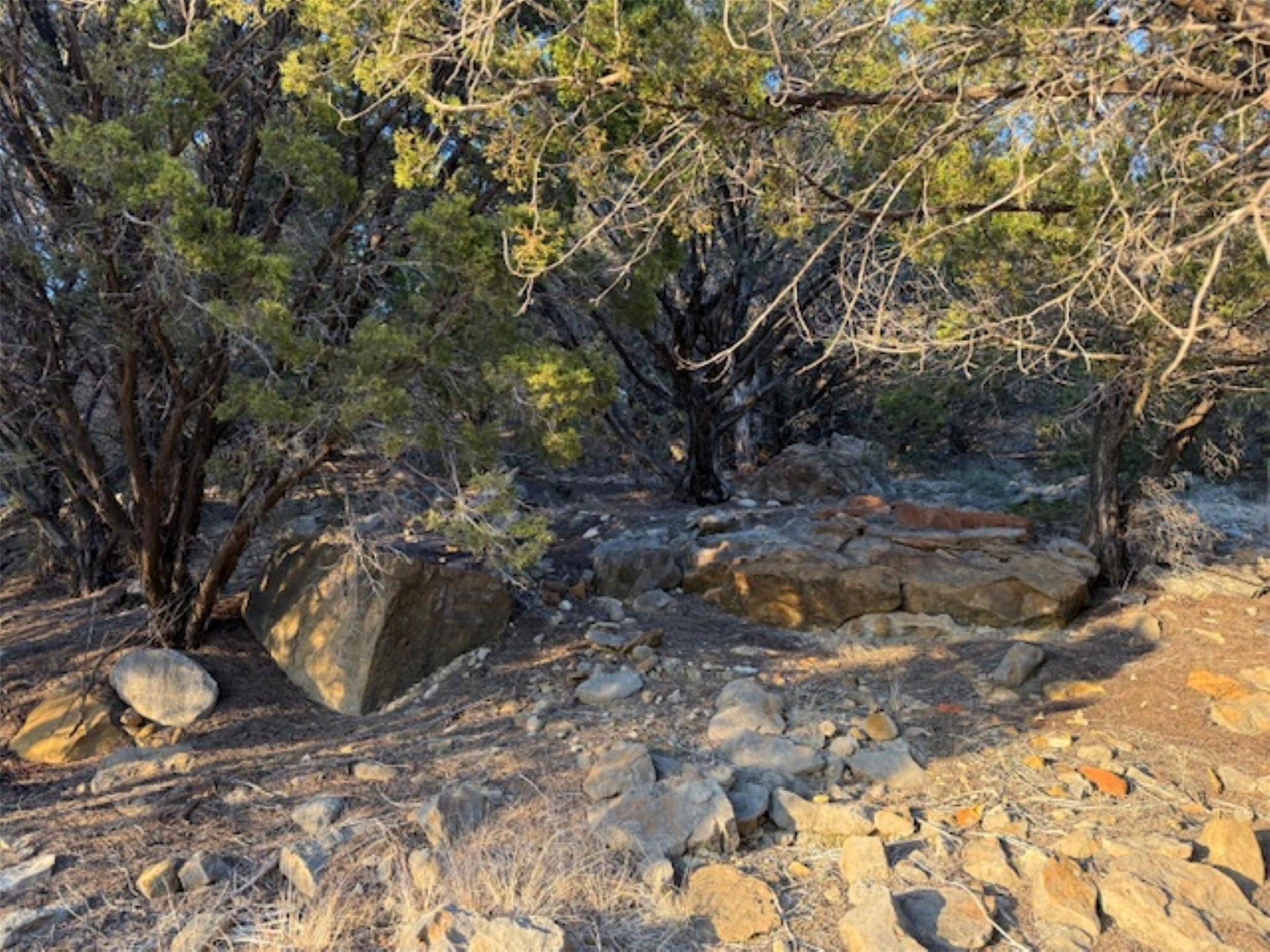 Image 4 Image 4