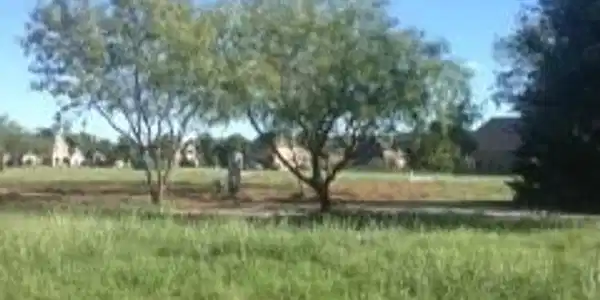 11936 Pecan Orchard Way Lot 31