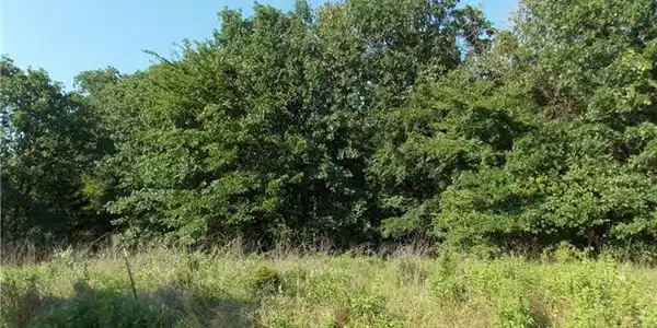 L 145 Shenandoah Lot 145