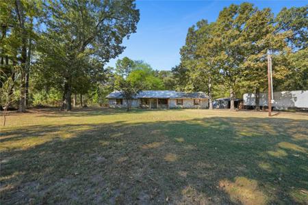 288 County Road 1858
