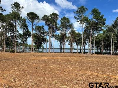 Lot 1 Oak River