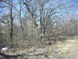 Lot 64 Shady Oaks Drive Lot 64
