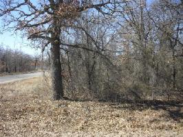 Lot 65 Shady Oaks Drive Lot 65