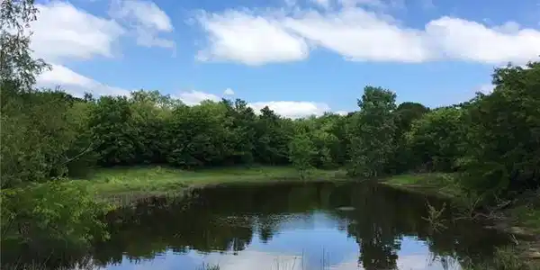 L 54 Horizon Way Lot 54