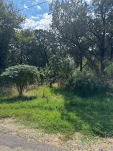 3608 Raintree Trail