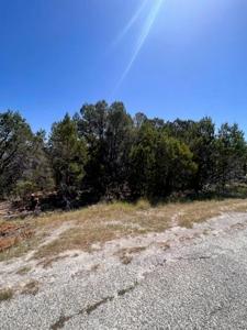 3119 Canadian River Trail