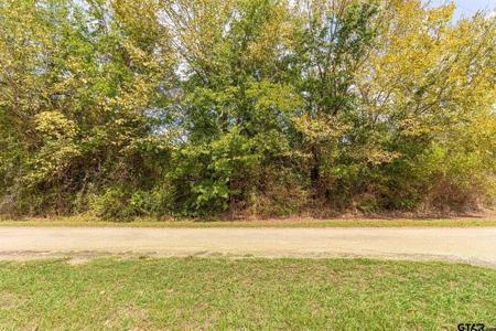 Lot 2 Pecan Drive TBD