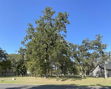245 Saint Andrews Drive