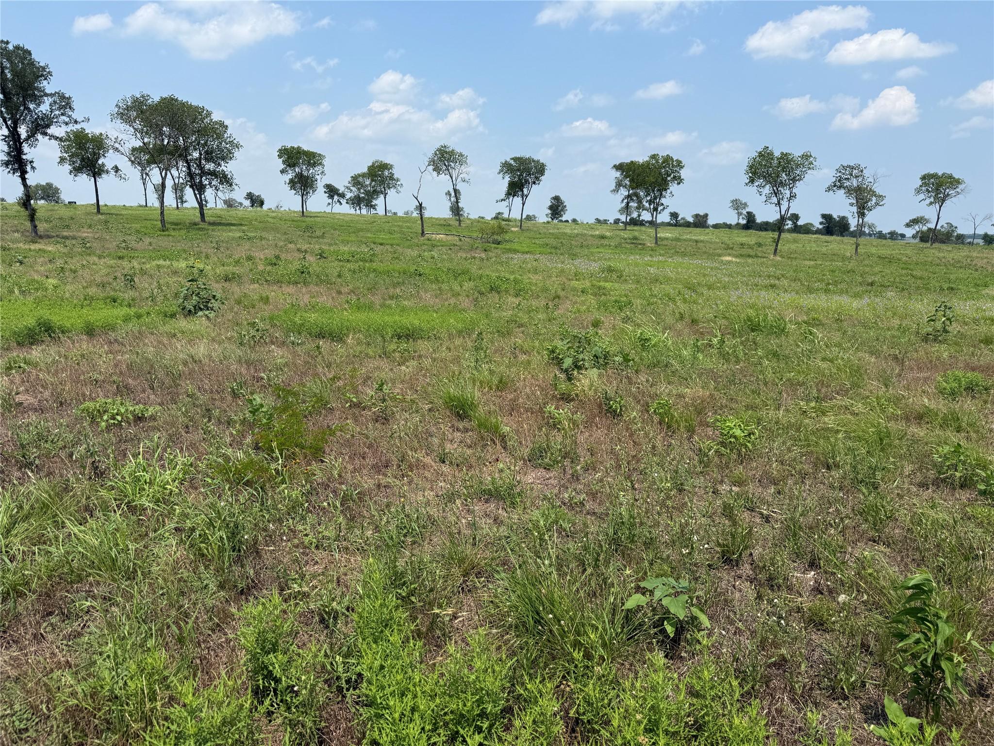 Image 4 Image 4