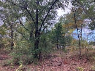 TBD Lot 16 Westwood Drive