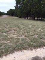 196 County Road 1526 Lot 196
