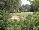 24036 Wood Hollow Drive