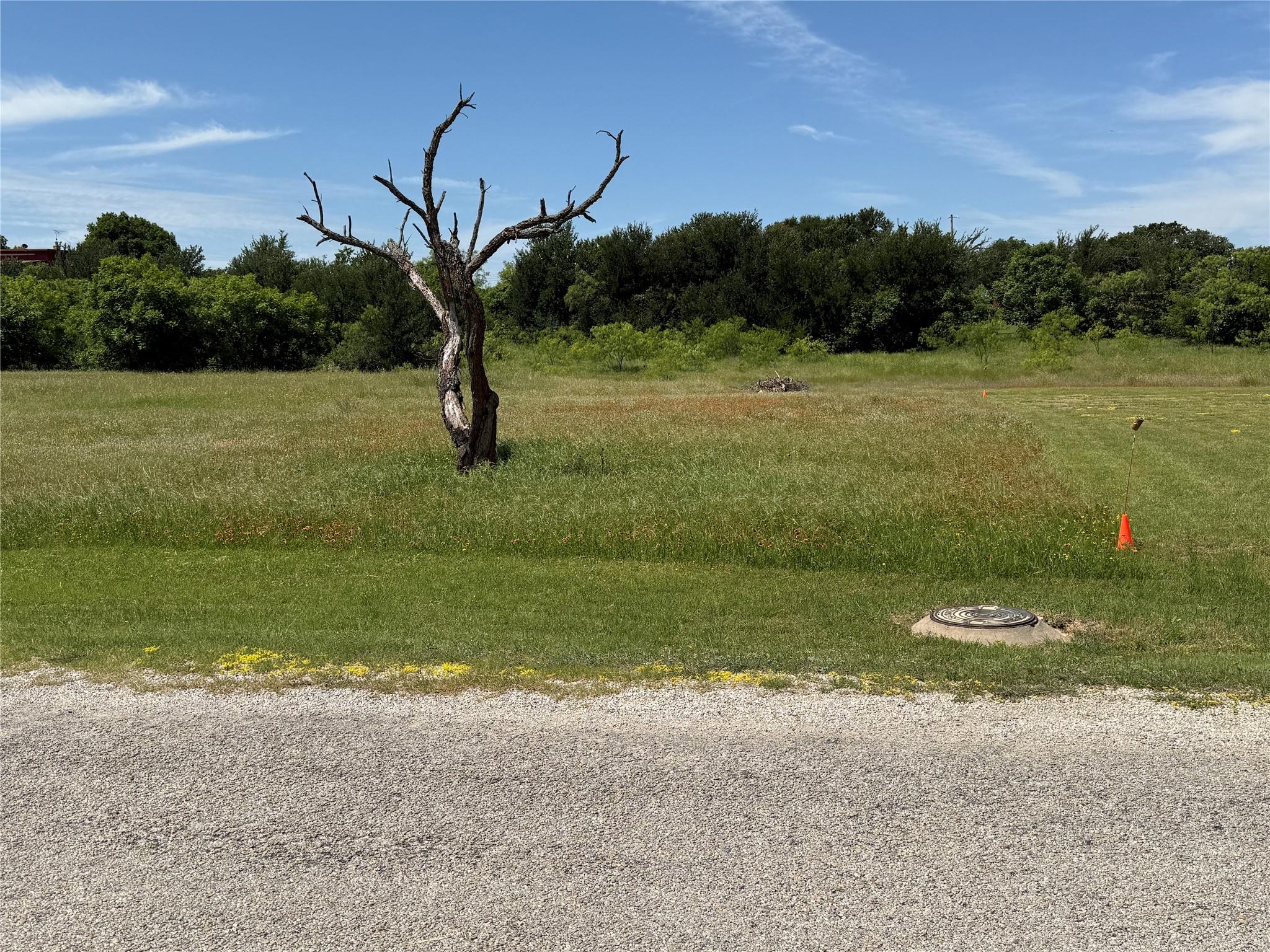 Image 4 Image 4