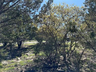 Lot 131 Turnberry Loop