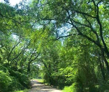 Red Oak Drive