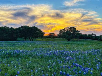 111 Old Ranch Court