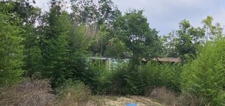 144 Marcy Drive